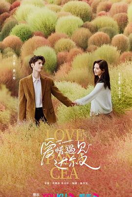 兴庆区seo关键词排名优化